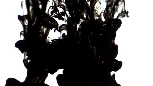 Black Ink Flowing in Water on White Background
