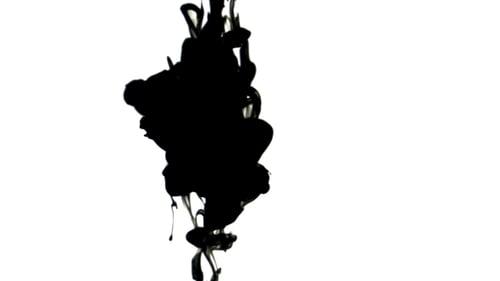 Black Ink Drops Flowing in Water on White