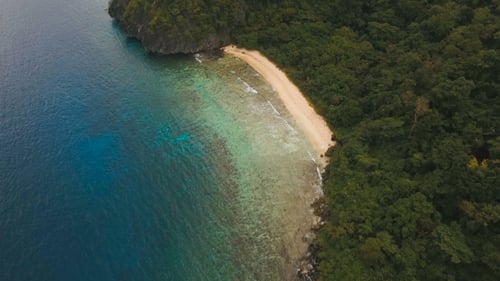 Tropical Beach, Aerial View. Tropical Island.