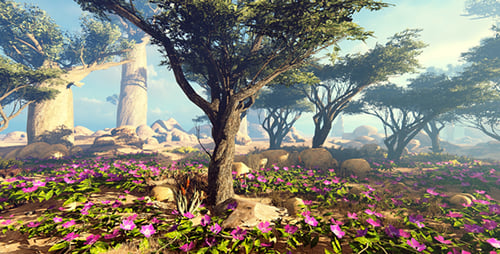 Colorful Flowers Blooming In The Desert