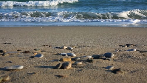 Soft Wave of Blue Sea on Sandy Beach