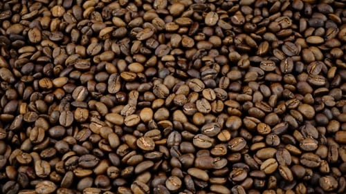 Close Up of Roasted Coffee Beans