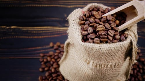 Roasted Coffee Beans in Burlap Sack with Scoop