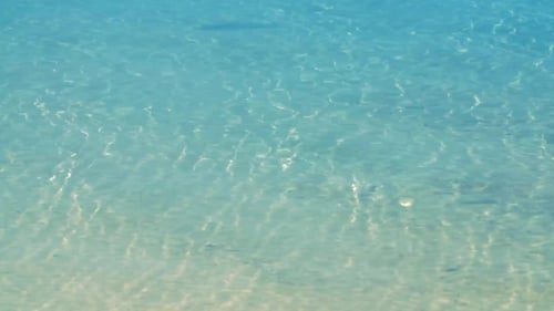 Clear Turquoise Ocean Water with Sunlight Reflection