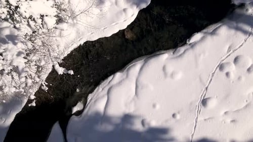 Top Down Aerial View of the River and Forest in Sunny Winter Day Drone Flying Up
