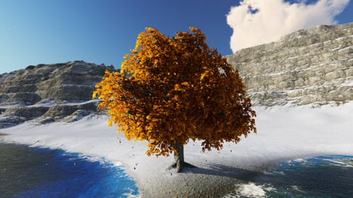 The Big Tree