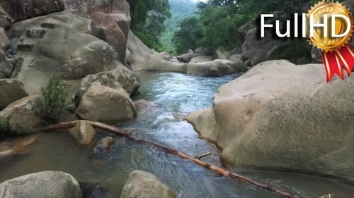 Mountain River Surrounded by Tropical Rainforest,