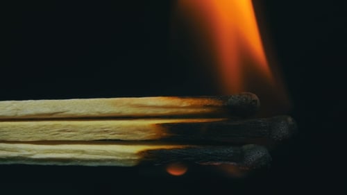 Burning Matches, Chain Reaction And Flame