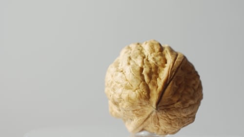 Rotating Walnut in Close Up