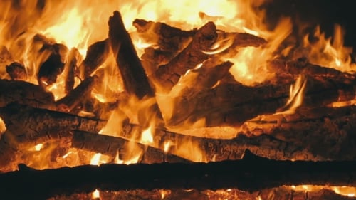 Big Campfire From Branches Burn at Night in the Forest