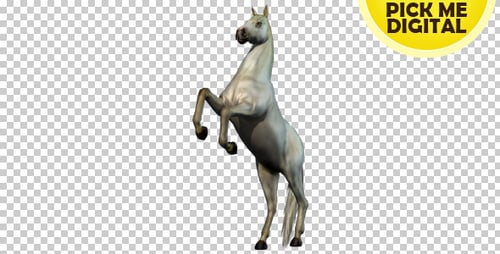 White Horse Rearing Animation with Alpha Channel