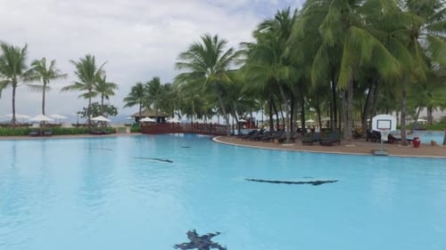 Views of Pool, a Relaxation Area With Umbrellas