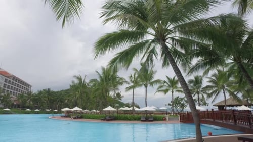 Views of Pool, a Relaxation Area With Umbrellas