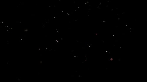 Partikel fliegen auf schwarzem Hintergrund. Farbige Partikel fliegen unregelmäßig.