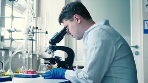 Scientist Using Microscope in Bright Laboratory