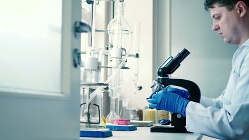 Scientist Uses Microscope in Bright Lab