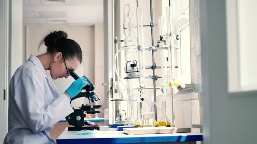 Young Adult Scientist Working in a Medical Laboratory