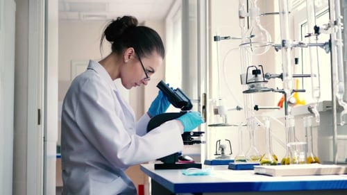Woman Working With Microscope in Bright Laboratory