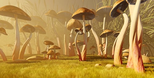 Glade With Poisonous Mushrooms 1