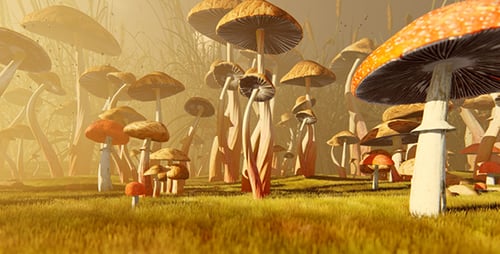 Variety Of Poisonous Mushrooms in The Meadow