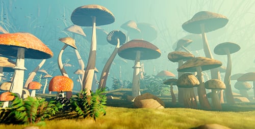The Fairy Glade And Various Mushrooms