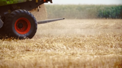 Traktor arbeitet auf dem Feld.