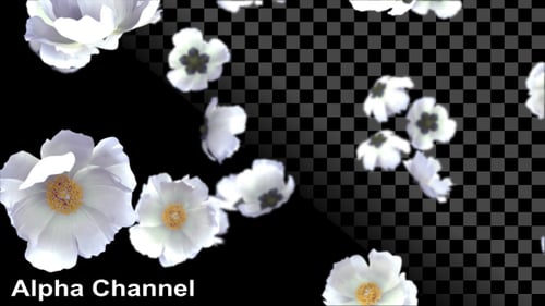 Elegant White Flowers Falling with Bokeh Light Background
