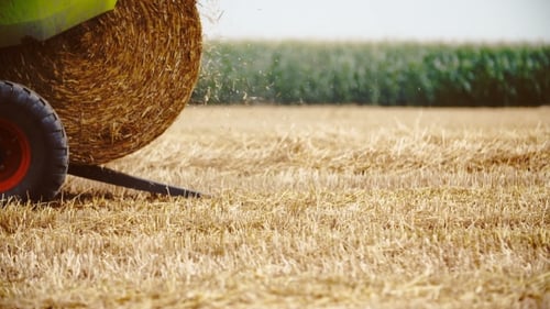 Hay Bale in Sunny Rural Farm Field