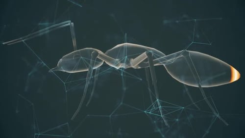 Ant 3d Scanning With Laser Hd