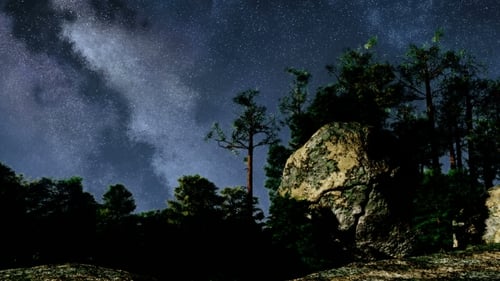 Milky Way Galaxy Night Sky Over Forest Landscape
