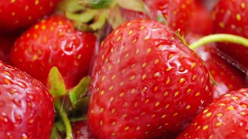 Laver les fraises à l'eau