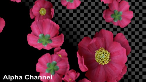Red Flowers