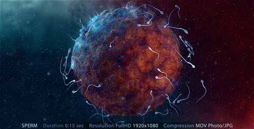 3D Animation of Sperm Cells Approaching an Ovum for Fertilization