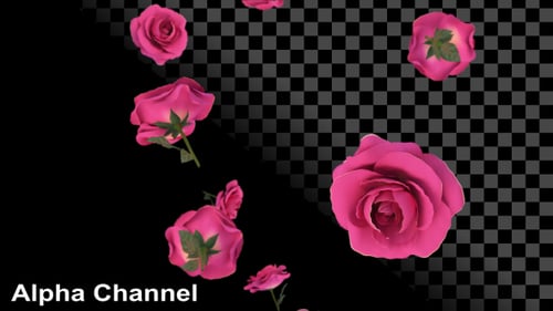 Roses Falling