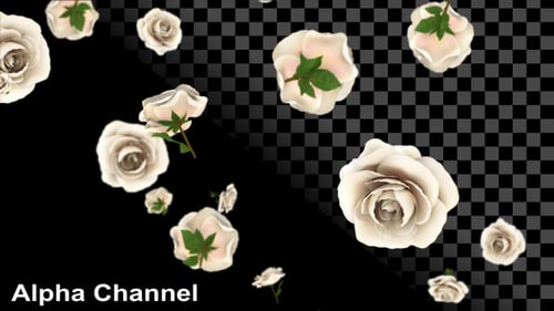 Elegant Falling White Roses Wedding Overlay