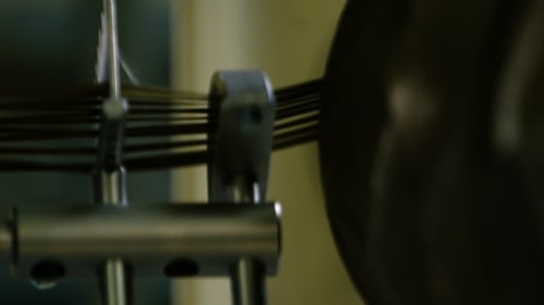 The Work of a Robotic Hand at the Plant