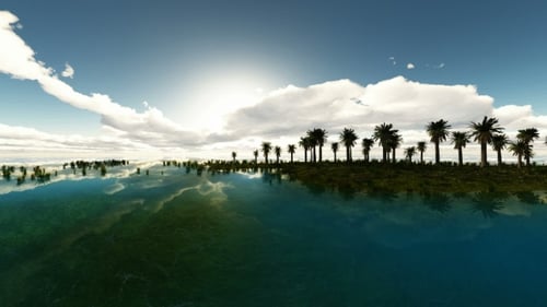 Tropical Island with Palms