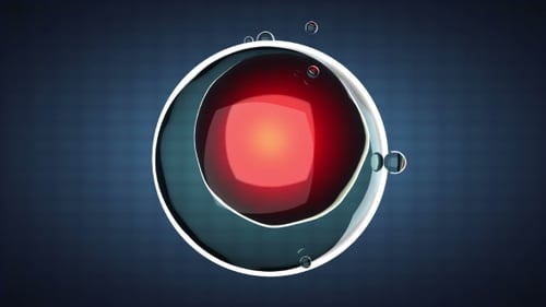 Girar divisão celular