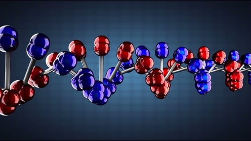 DNA-Modell rotieren