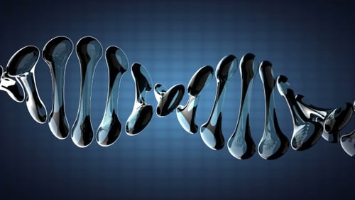 DNA-Modell rotieren
