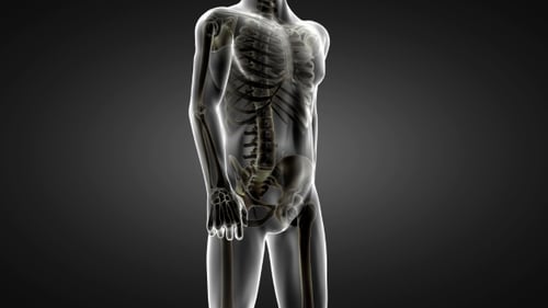 Human Bones Radiographic Scan
