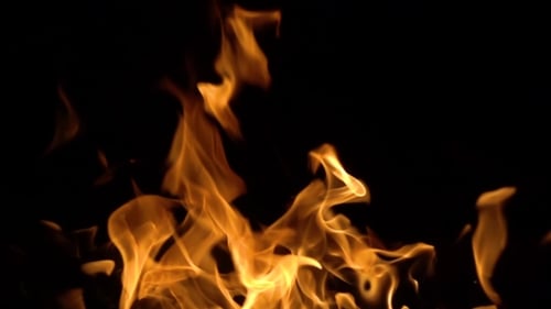 Vivid Close-Up of Fire Flames Against Black Backdrop