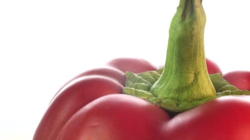 Red Bell Pepper Macro Close-Up