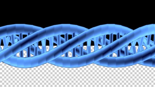 DNA 3D Outline