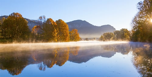 Autumn Fog River