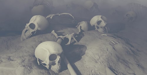 Skulls and Skeletons on Sandy Ground in Fog