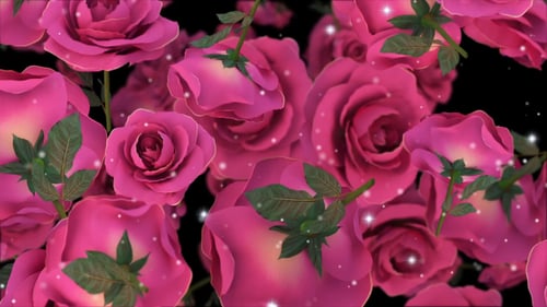Roses Background