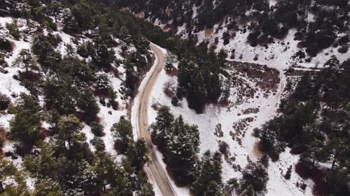 Winter Mountain Road Surrounded By Snowy Trees
