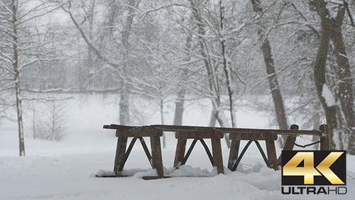 Antique Sled in Snowy Winter Park