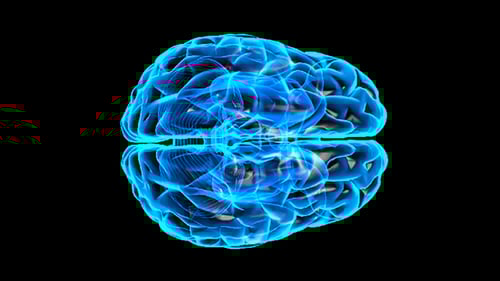 Transparent Brain Rotation 3